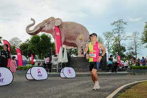 BIB: 
                            <button type="button" onclick="openModal(26529030)" class="btn btn-primary btn-sm float-right btn-popup" data-toggle="modal" data-target=".modal-high-quality">
                        <i class="fas fa-shopping-cart"></i> Add to Cart
                    </button>
                                            <button type="button" onclick="isThisMe(26529030, true)" class="btn btn-success btn-sm float-right btn-popup btn-isme hidden" data-toggle="tooltip" data-placement="bottom" title="นี่คือรูปของคุณใช่ไหม คลิกที่นี่เพื่อเอาเข้าอัลบั้ม">
                        <i class="fas fa-plus"></i> Add to album
                    </button>
                    <button type="button" onclick="isThisMe(26529030, false)" class="btn btn-warning btn-sm float-right btn-popup btn-isnotme hidden">
                        <i class="fas fa-ban"></i> Remove from album
                    </button>